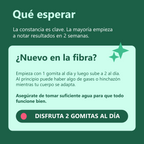 FiberSlim Gummies – Gomitas de Fibra Premium